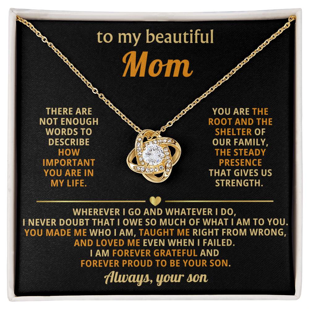 To My Mom,  You are the root and the shelter of our family