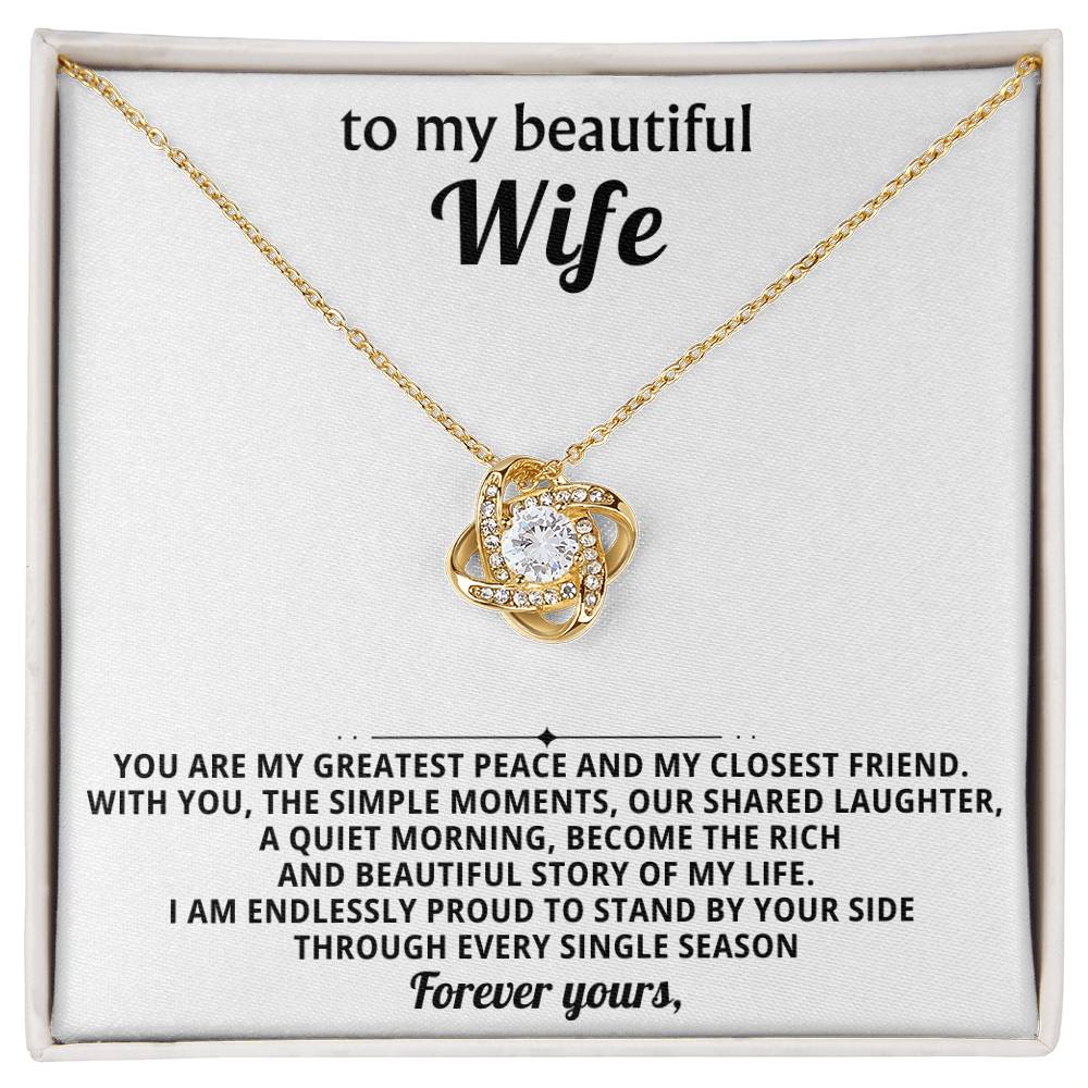 To my beautiful wife, You are my greatest peace and my closest friend