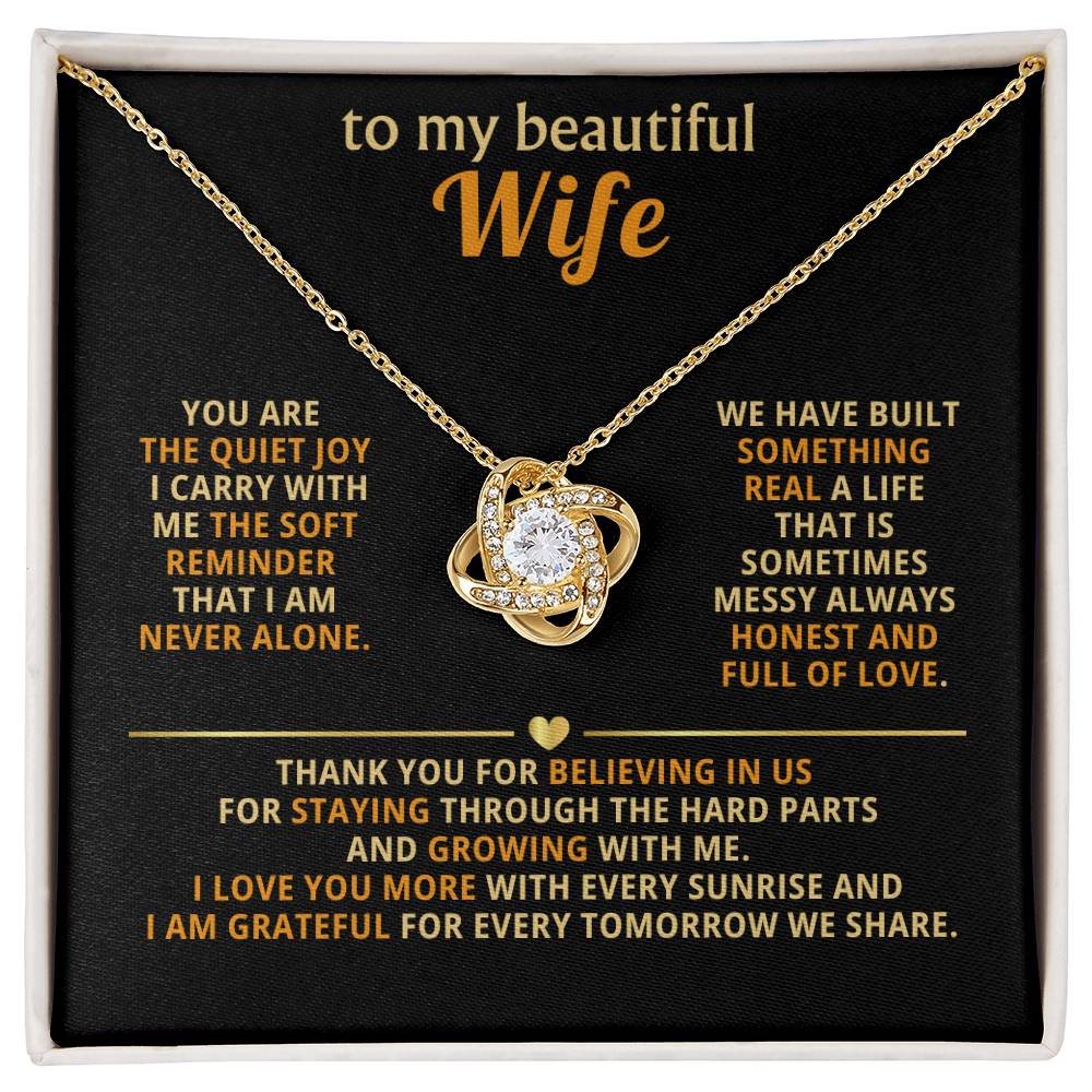 To my beautiful wife, You are the quiet joy I carry with me