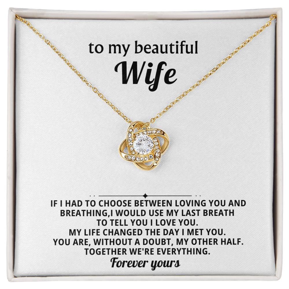 To my beautiful wife, You are, without a doubt, my other half