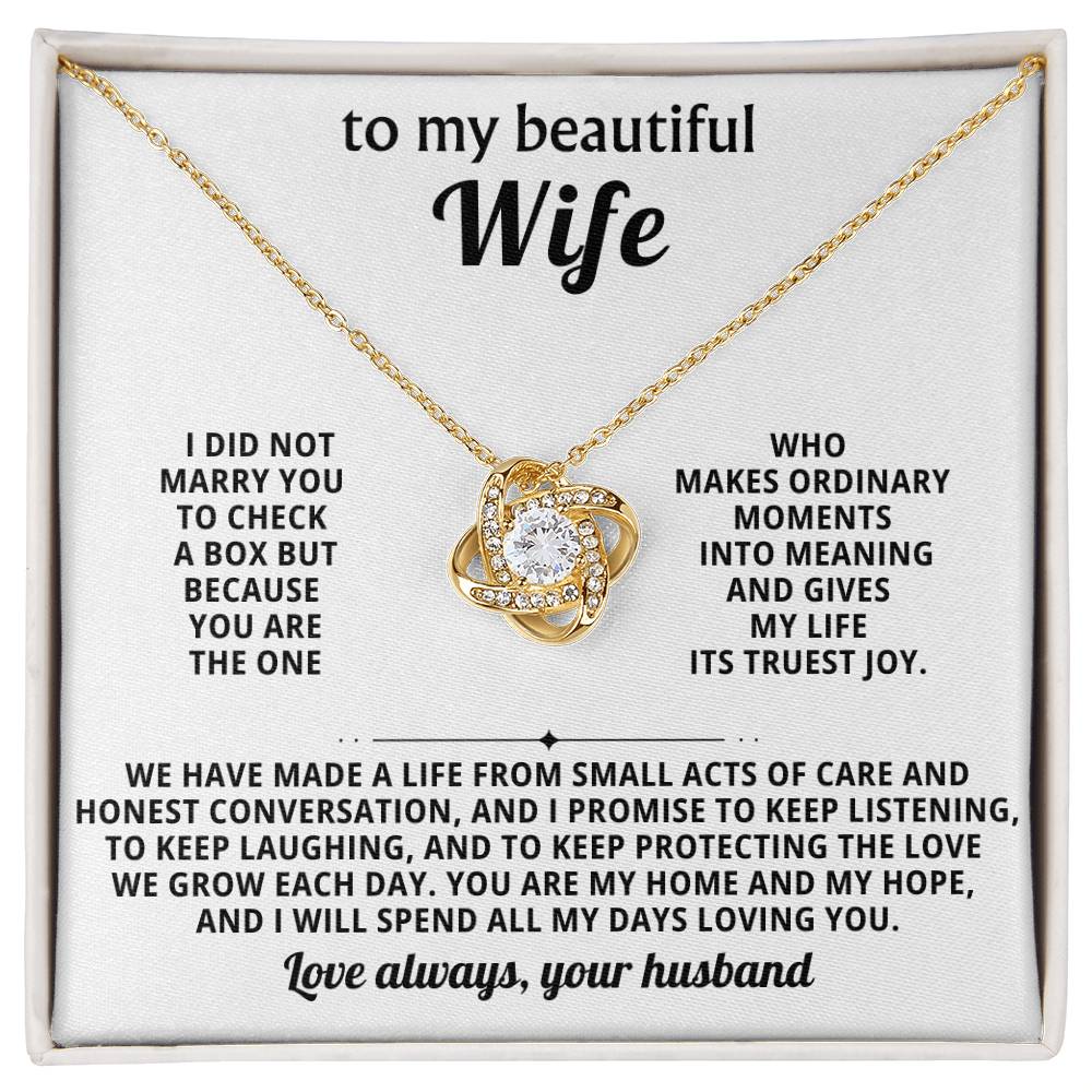 To my beautiful wife, You are the one who makes ordinary moments into meaning