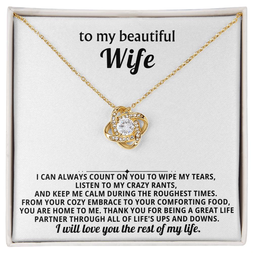 To my beautiful wife, I can always count on you to wipe my tears, listen to my crazy rants