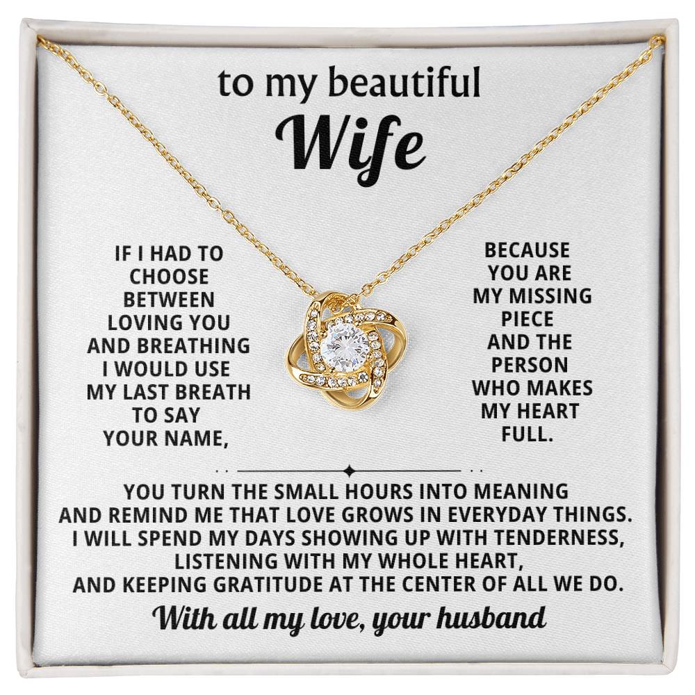 To my beautiful wife, You are my missing piece and the person who makes my heart full