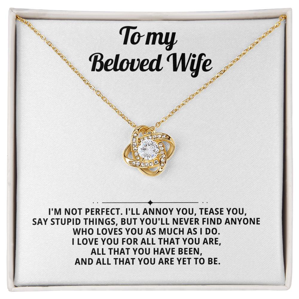 To my beloved wife, I'm not perfect.