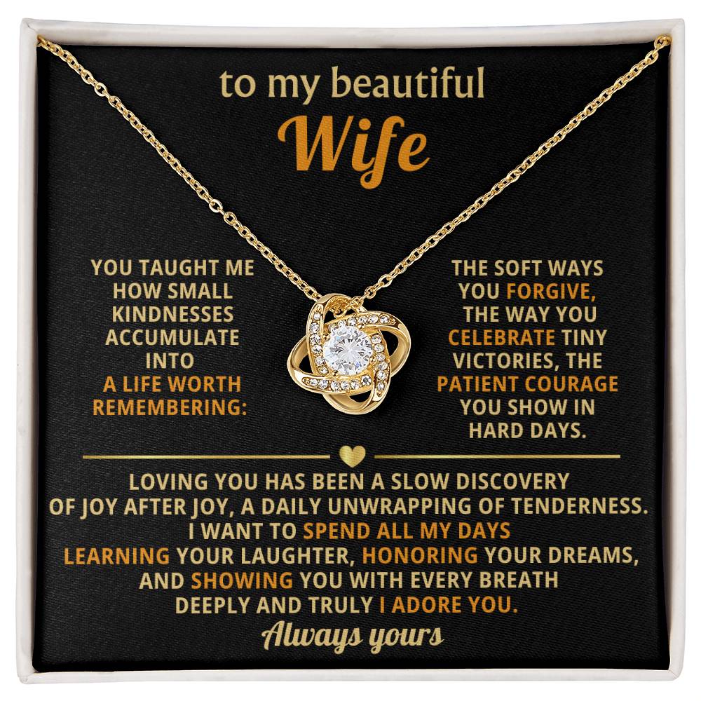 To my beautiful Wife,  Loving you has been a slow discovery of joy after joy