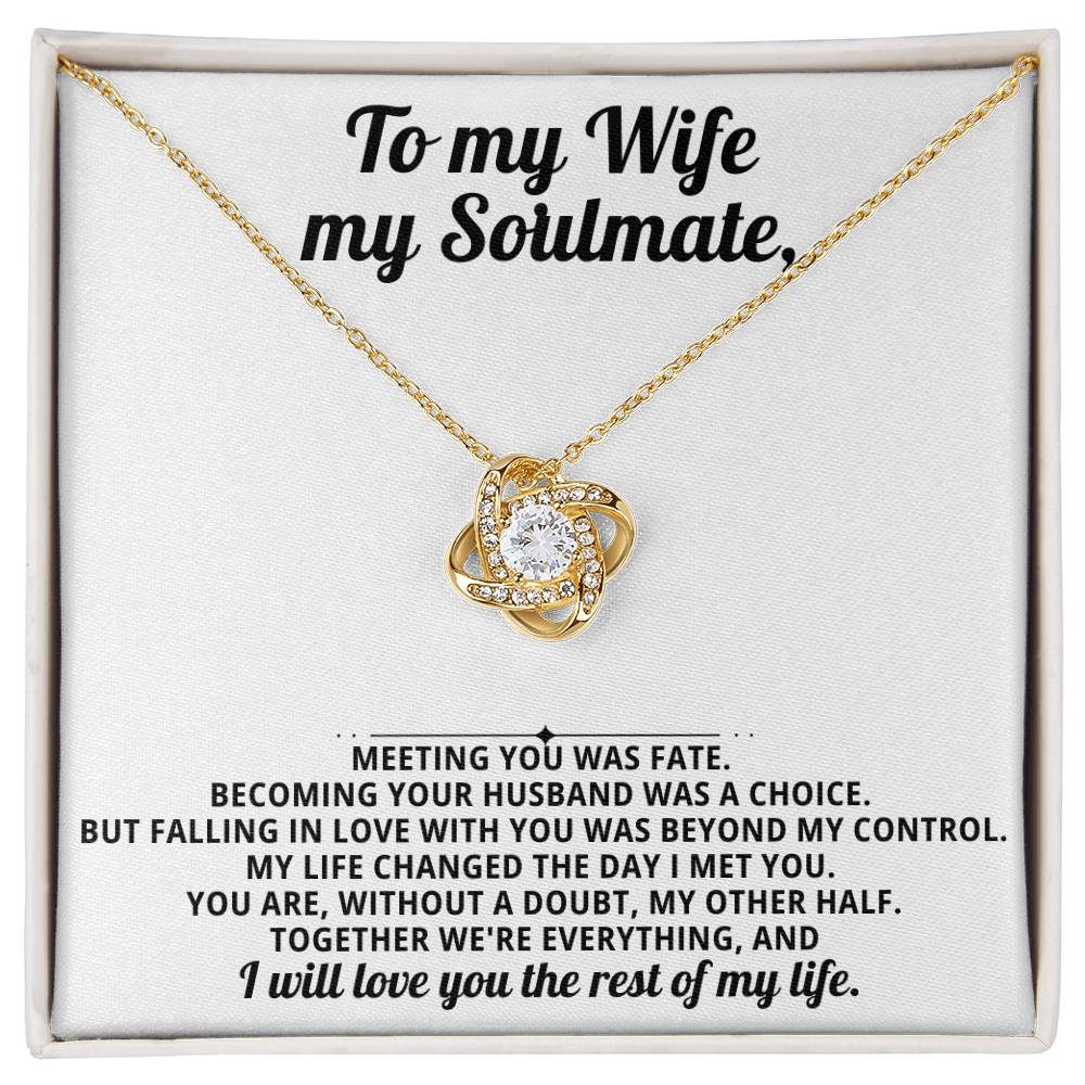 To my beautiful wife, I will love you the rest of my life.