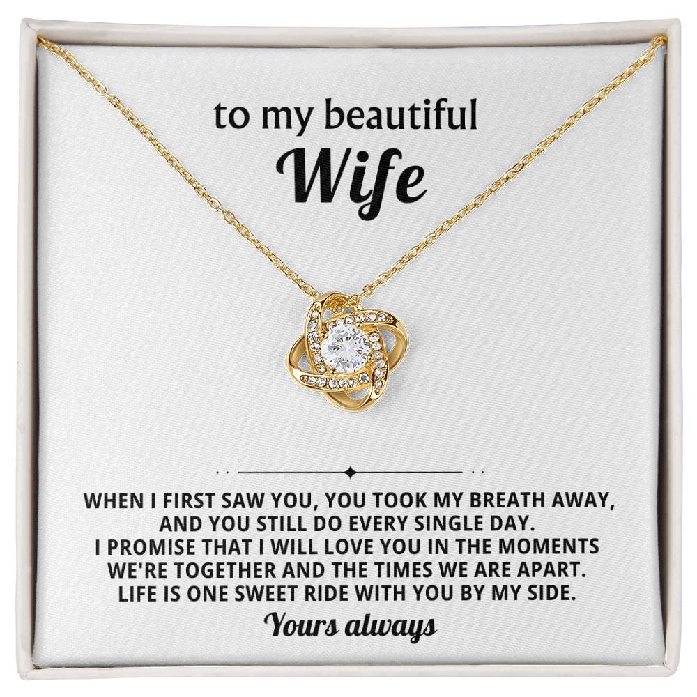 To my beautiful wife, I promise that I will love you in the moments we're together