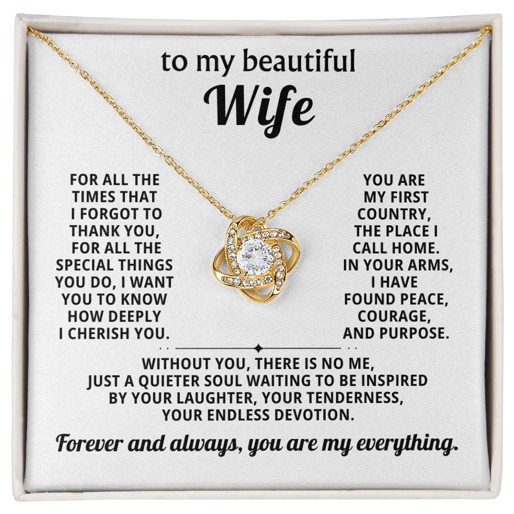 To my beautiful wife, Forever and always, you are my everything