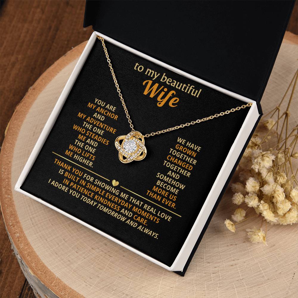 To my beautiful wife, You are my anchor and my adventure