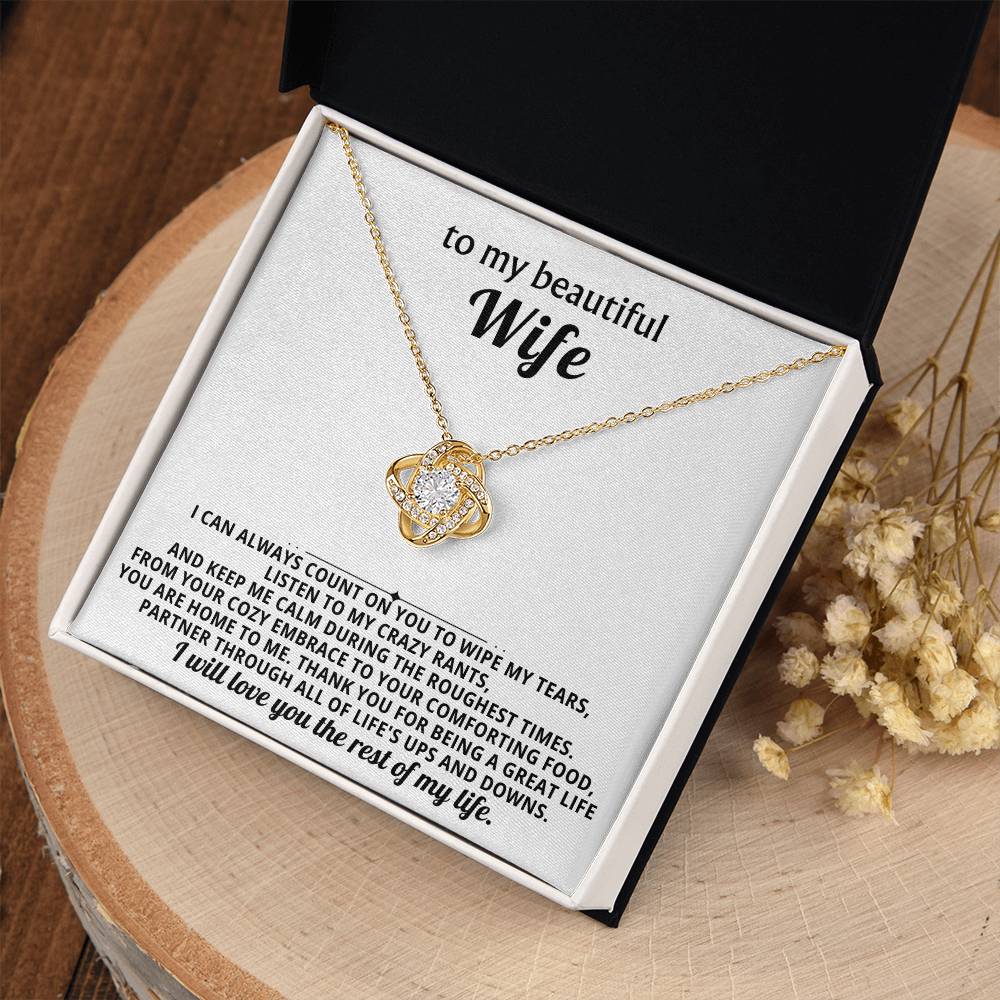 To my beautiful wife, I can always count on you to wipe my tears, listen to my crazy rants