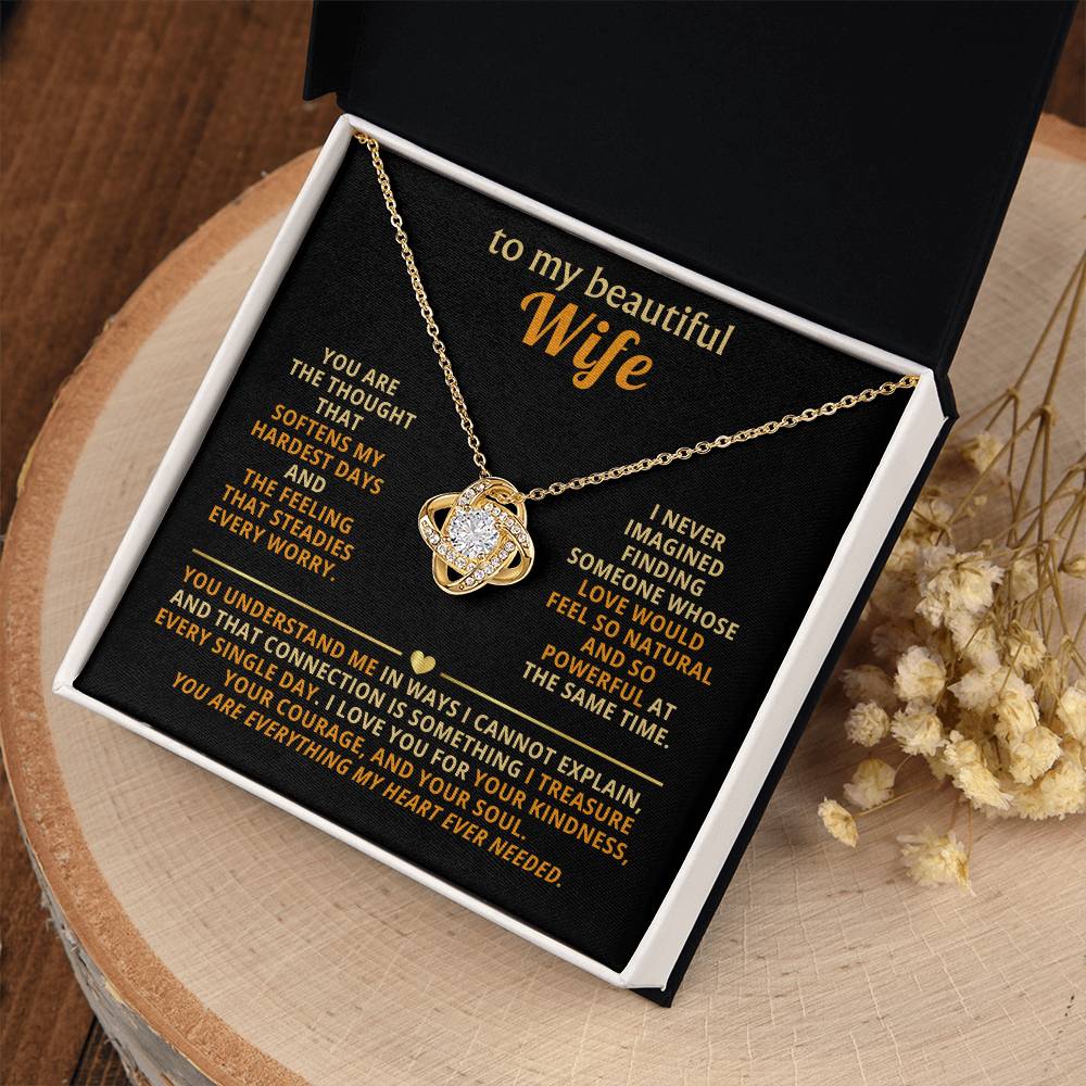 To my beautiful wife, You are the thought that softens my hardest days