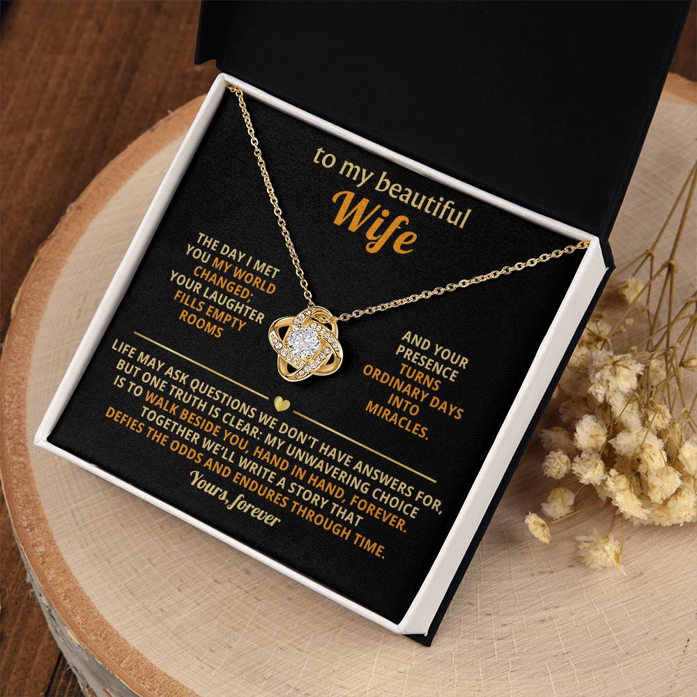 To my beautiful Wife, The day I met you my world changed