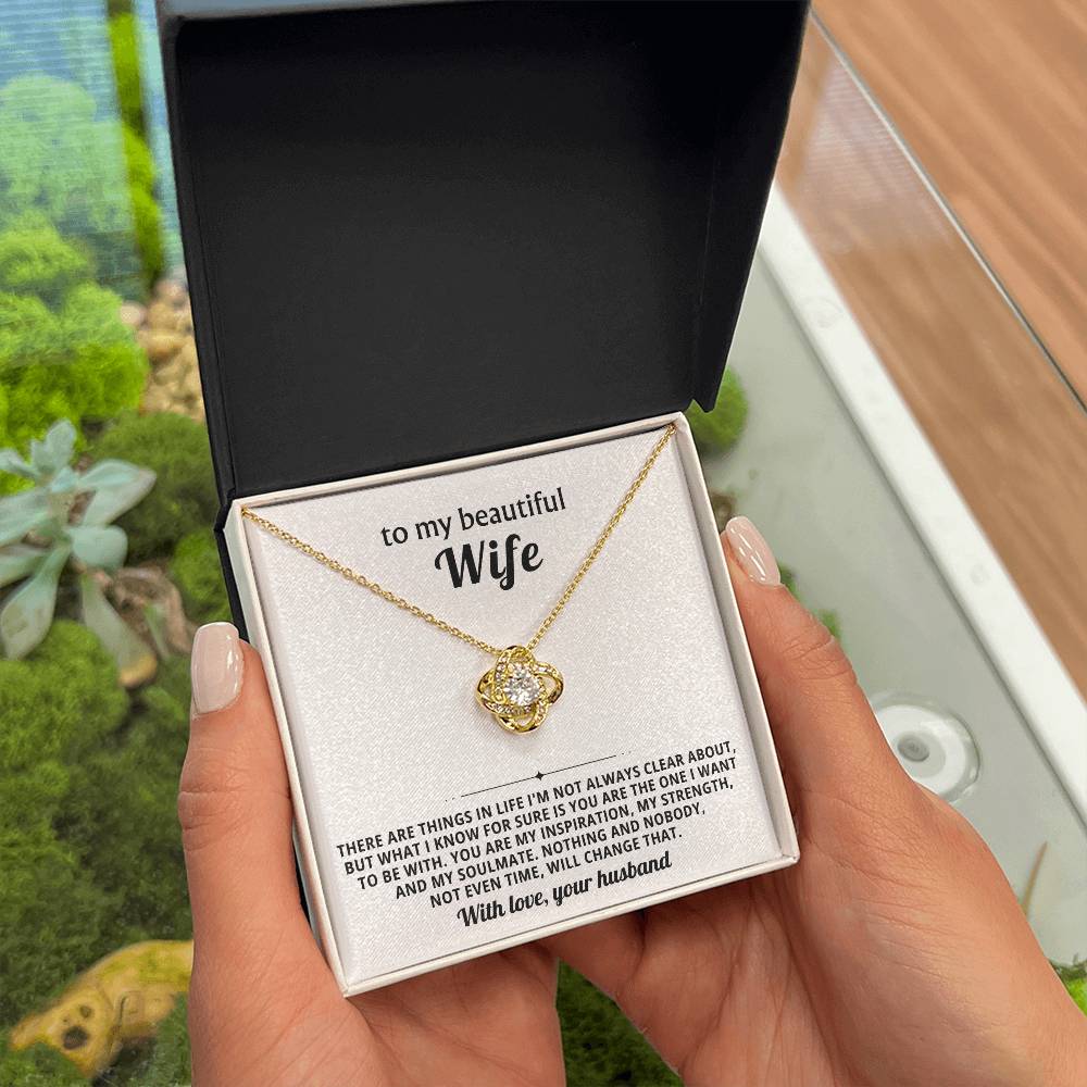 To my beautiful wife, You are my inspiration, my strength, and my soulmate