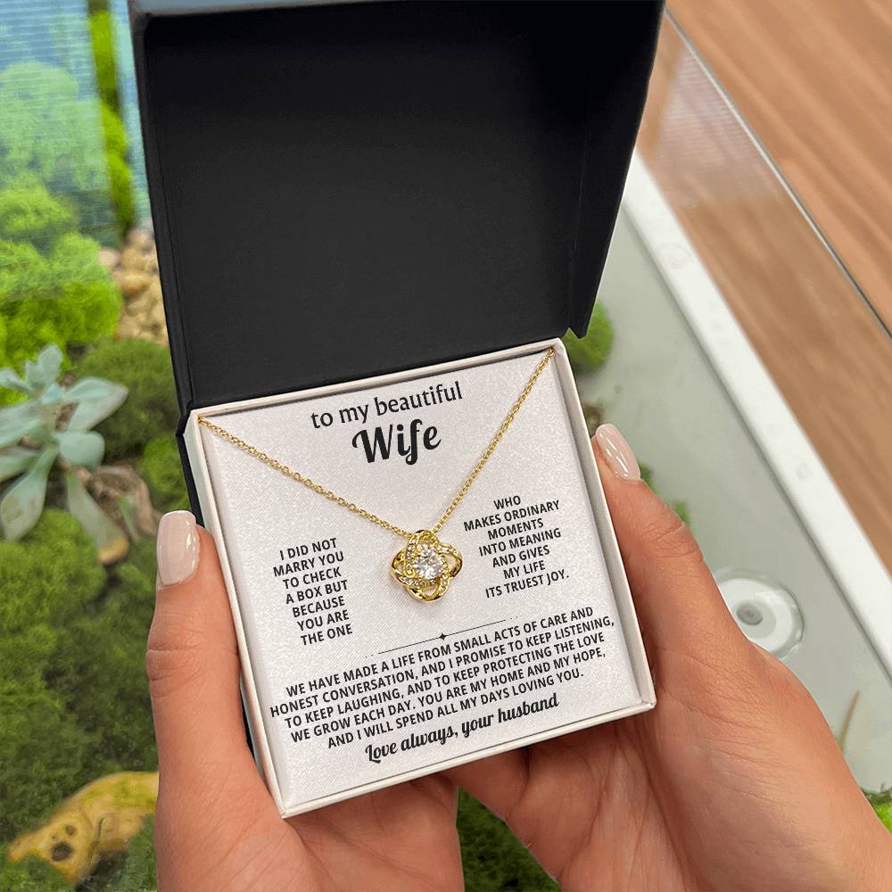 To my beautiful wife, You are the one who makes ordinary moments into meaning