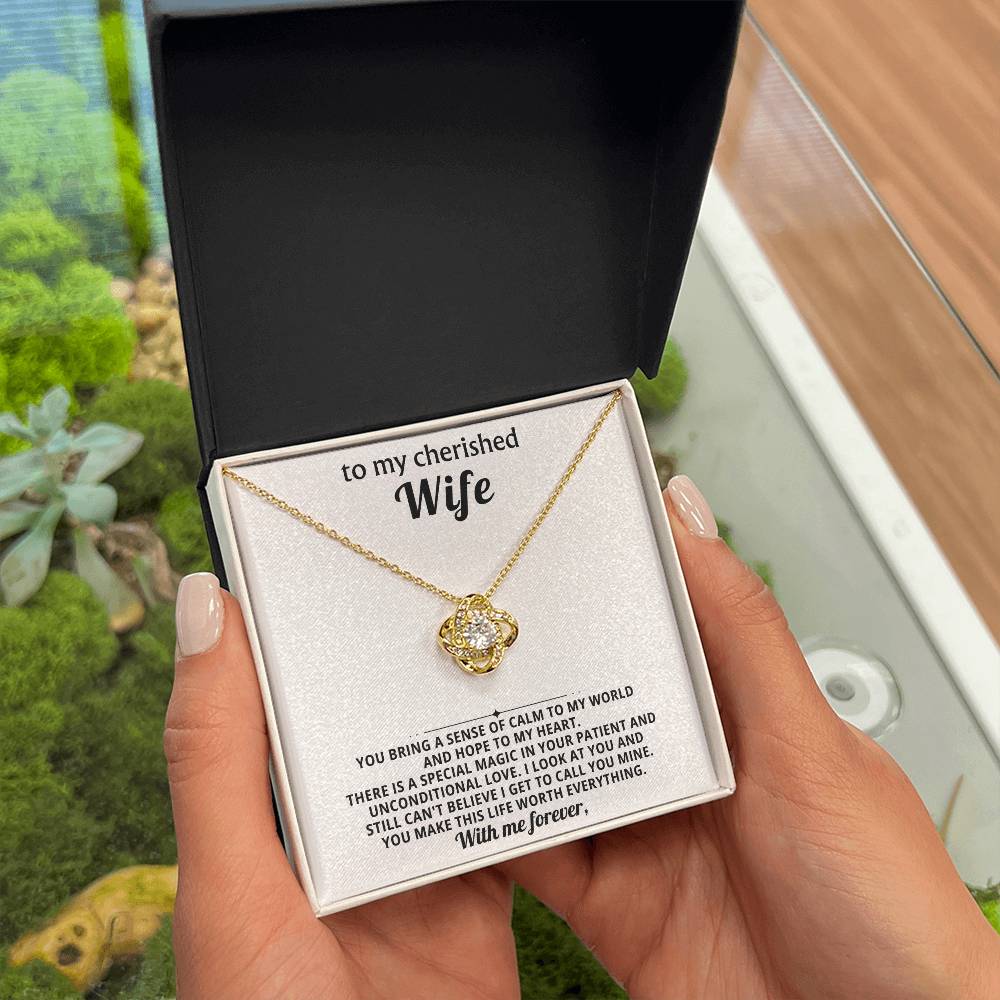 To my cherished wife, You bring a sense of calm to my world and hope to my heart