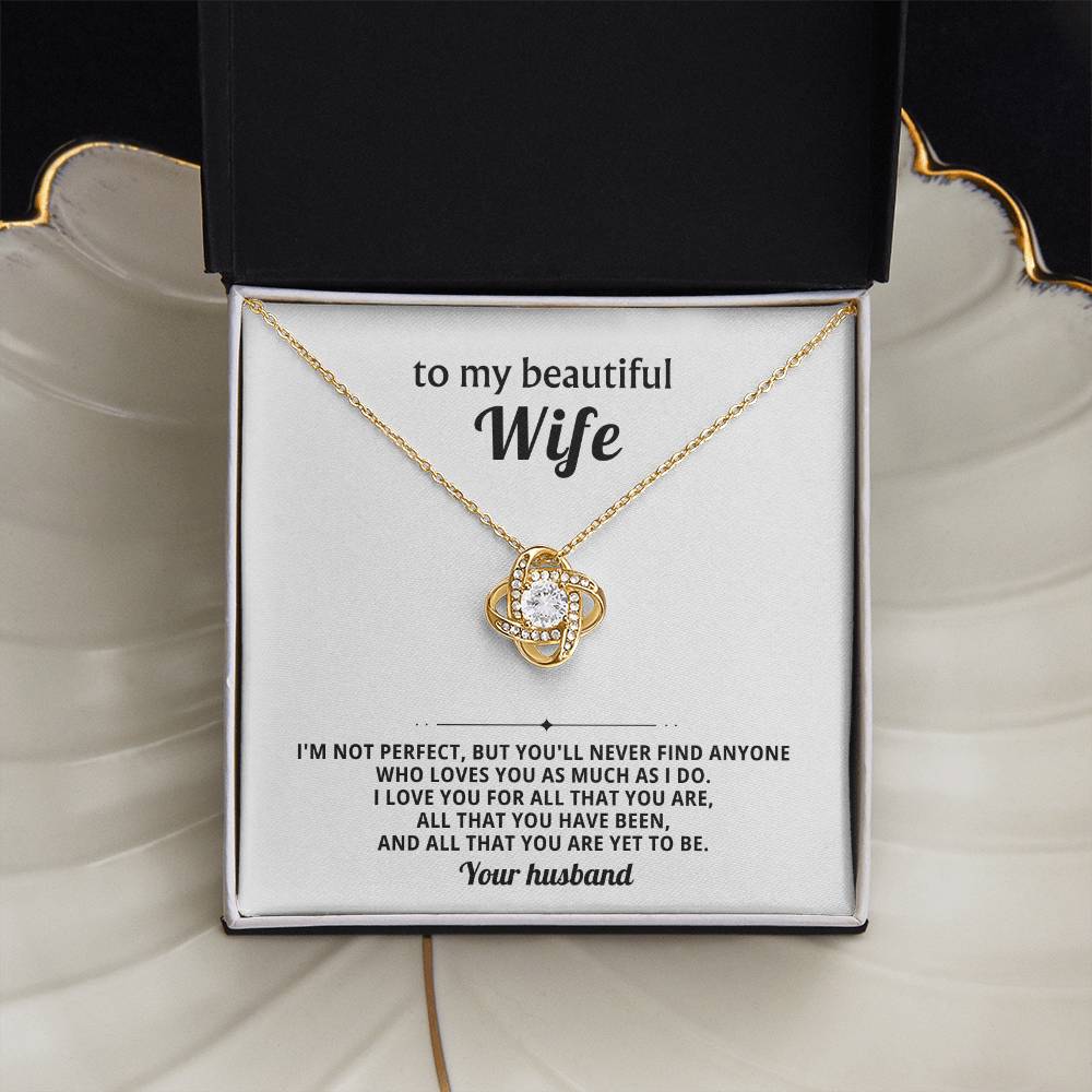 To my beautiful wife, I love you for all that you are, all that you have been