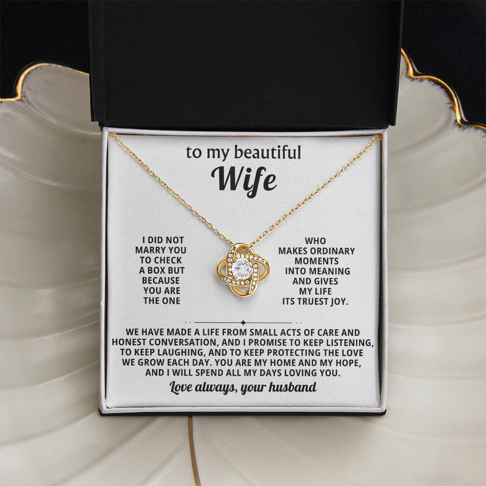 To my beautiful wife, You are the one who makes ordinary moments into meaning