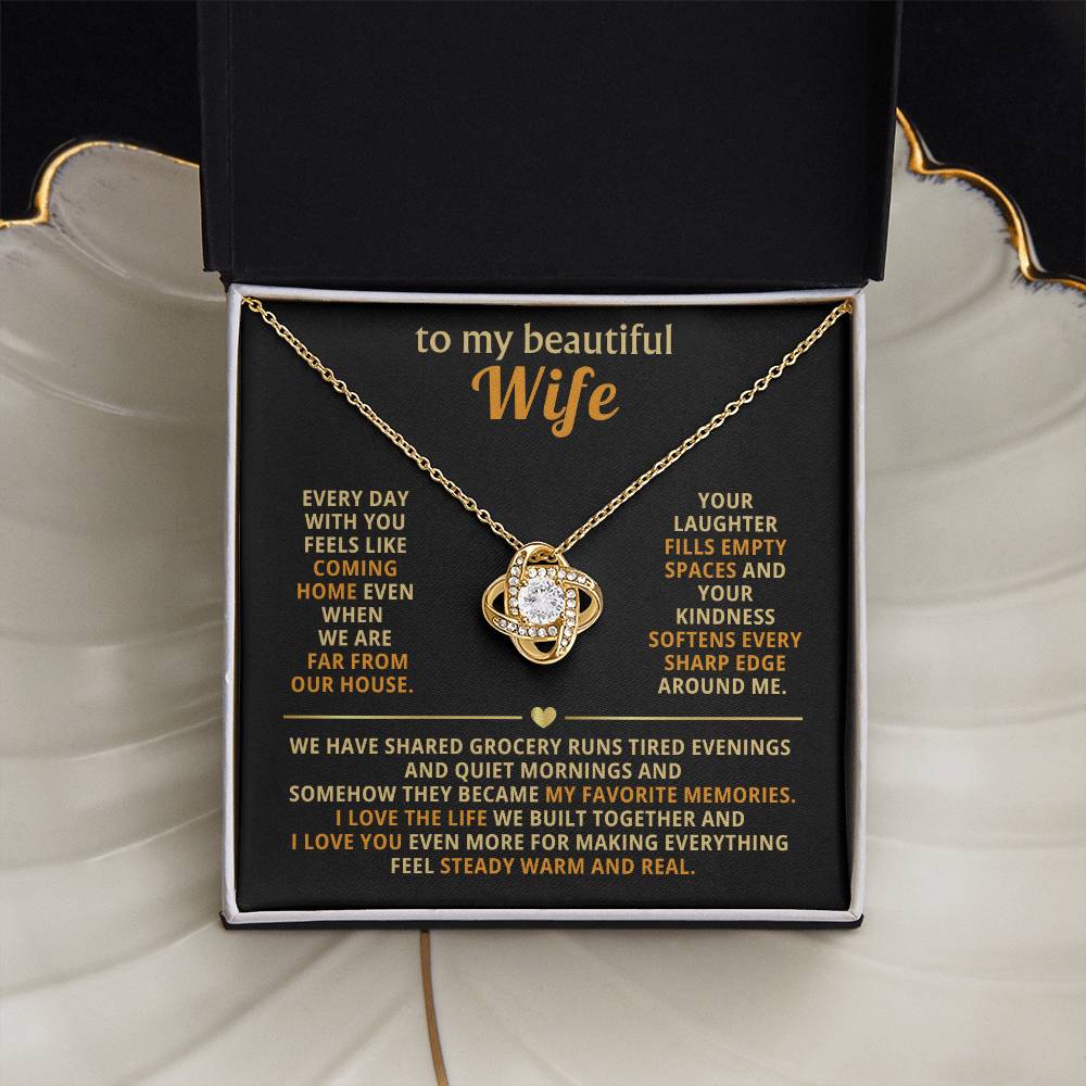 To my beautiful wife, I love the life we built together