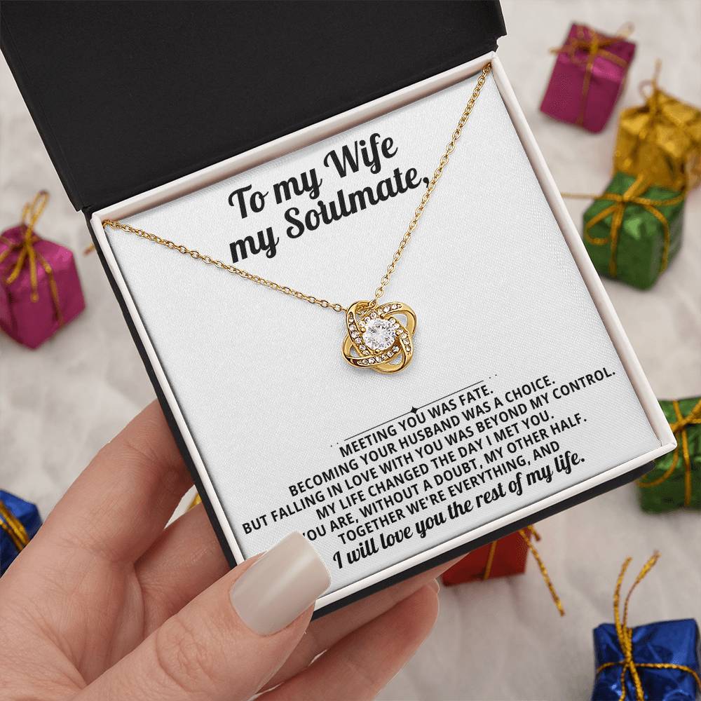 To my beautiful wife, I will love you the rest of my life.