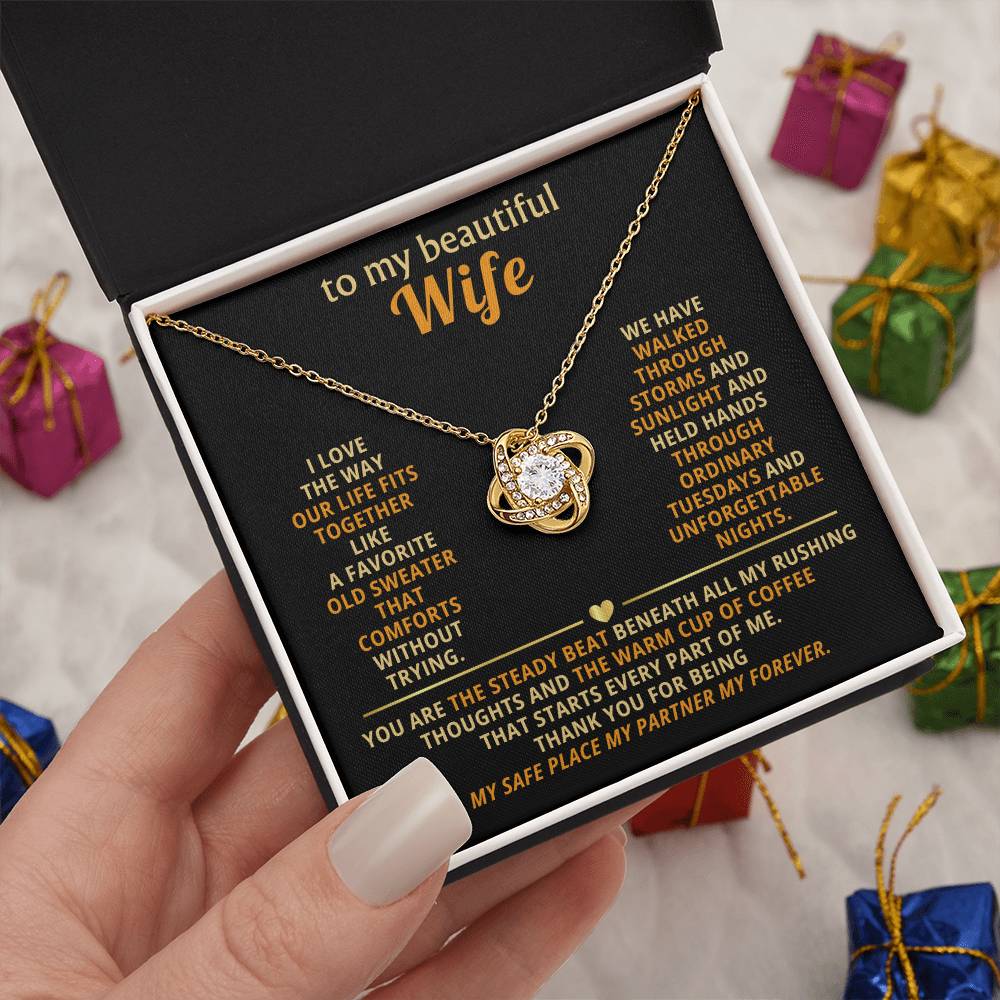 To my beautiful wife, I love the way our life fits together