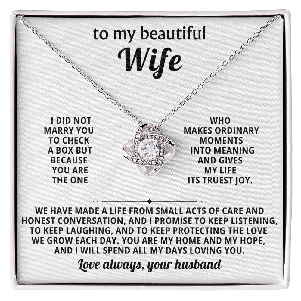 To my beautiful wife, You are the one who makes ordinary moments into meaning