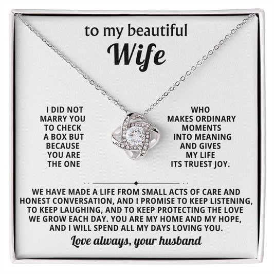 To my beautiful wife, You are the one who makes ordinary moments into meaning