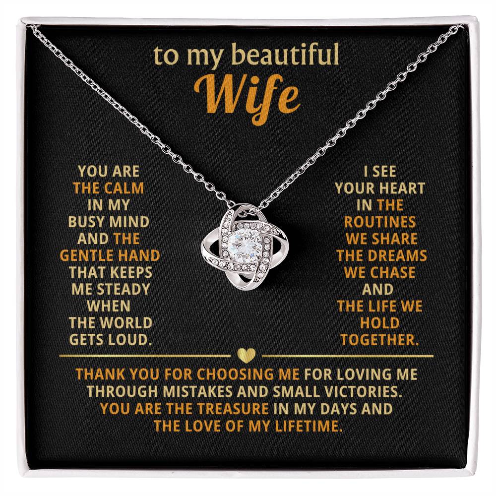 To my beautiful wife, You are the calm in my busy mind