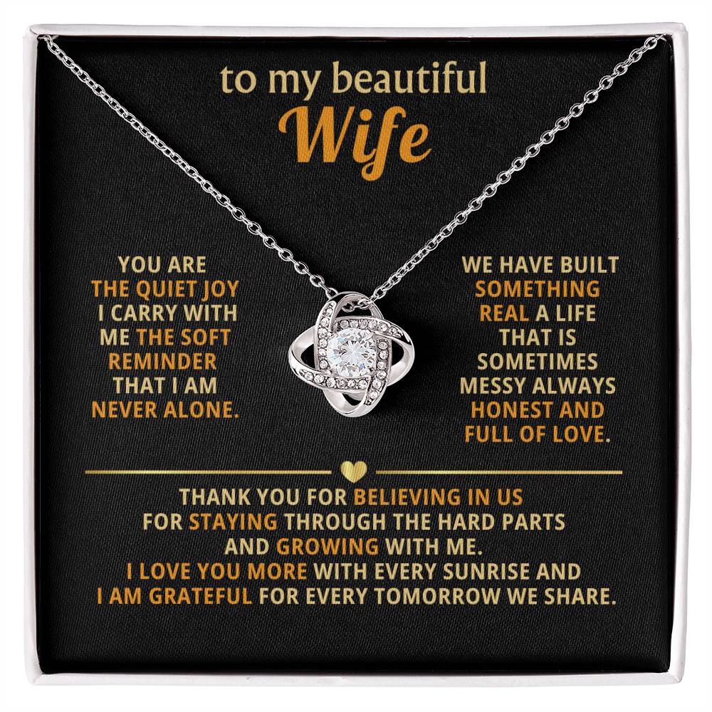 To my beautiful wife, You are the quiet joy I carry with me