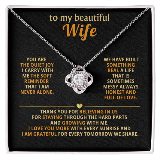 To my beautiful wife, You are the quiet joy I carry with me