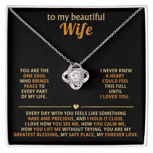 To my beautiful wife, you are the one soul who brings peace to every part of my life