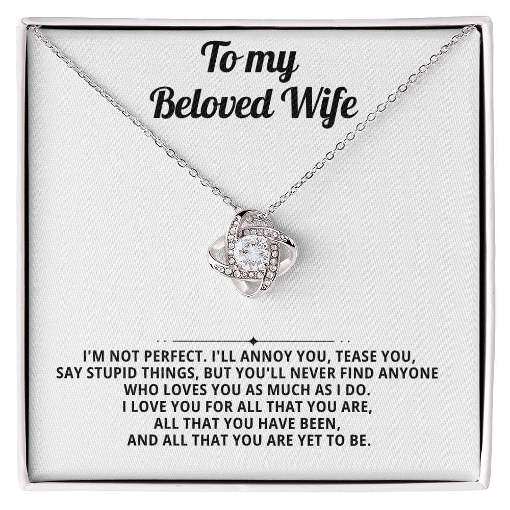 To my beloved wife, I'm not perfect.