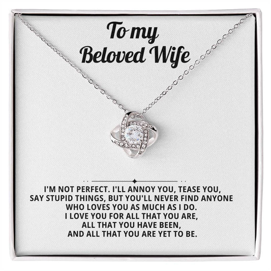 To my beloved wife, I'm not perfect.