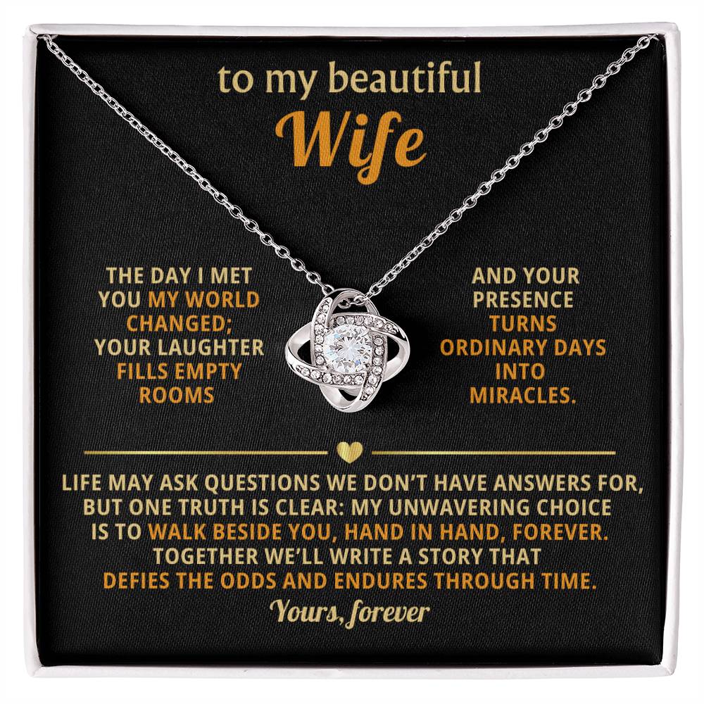 To my beautiful Wife, The day I met you my world changed