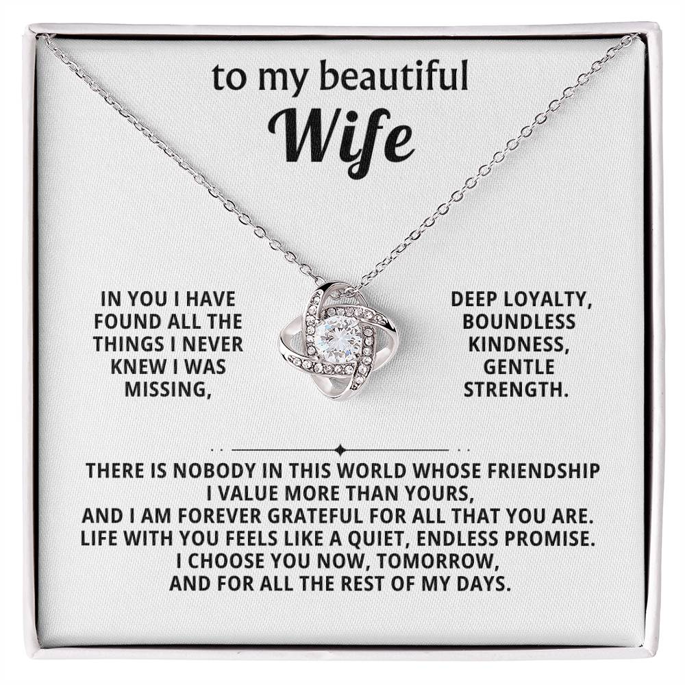 To my beautiful wife, In you I have found all the things I never knew I was missing