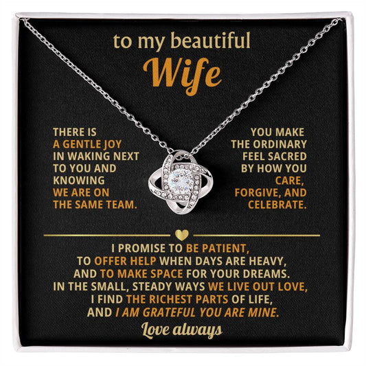 To my beautiful Wife, I find the richest parts of life, and I am grateful you are mine.