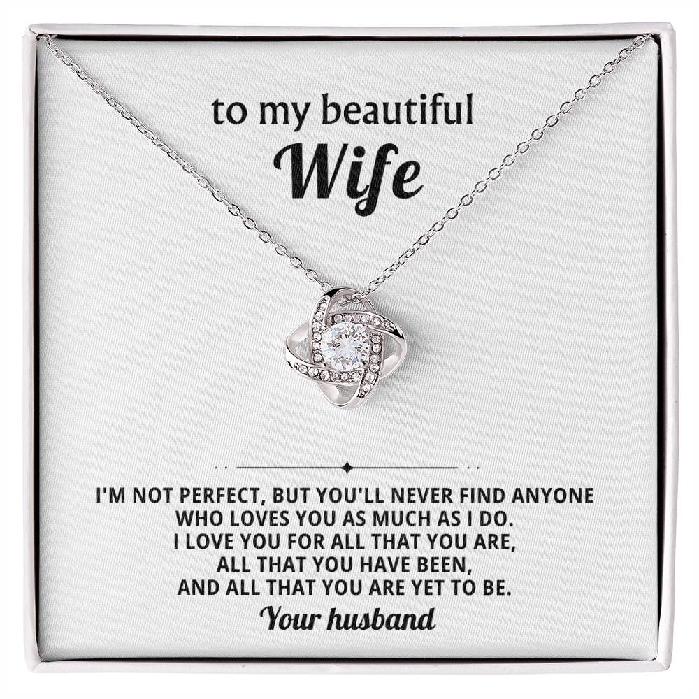 To my beautiful wife, I love you for all that you are, all that you have been