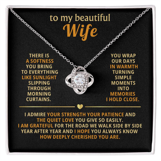 To my beautiful wife, There is a softness you bring to everything like sunlight