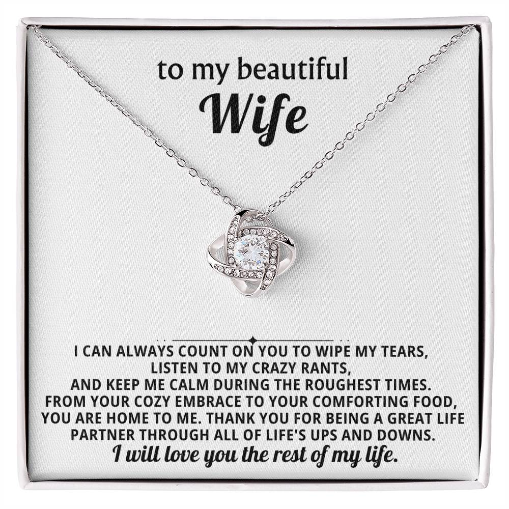 To my beautiful wife, I can always count on you to wipe my tears, listen to my crazy rants