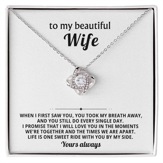 To my beautiful wife, I promise that I will love you in the moments we're together