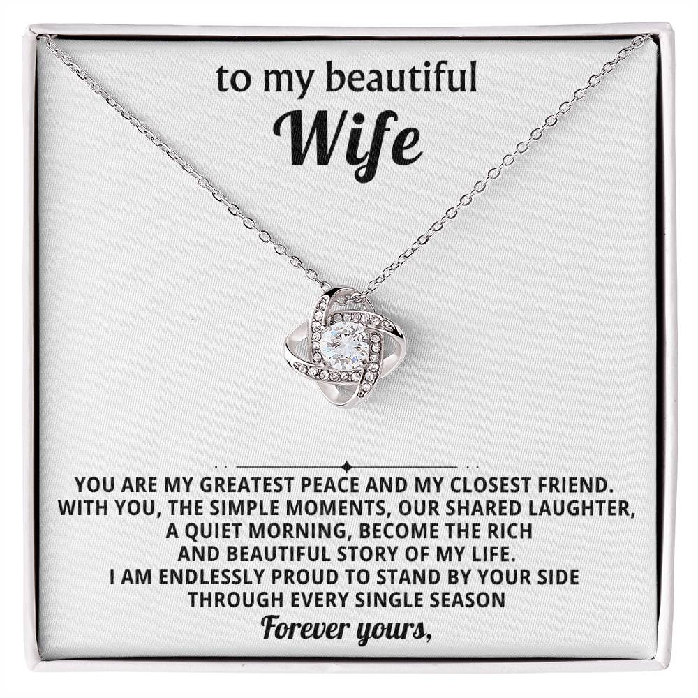 To my beautiful wife, You are my greatest peace and my closest friend