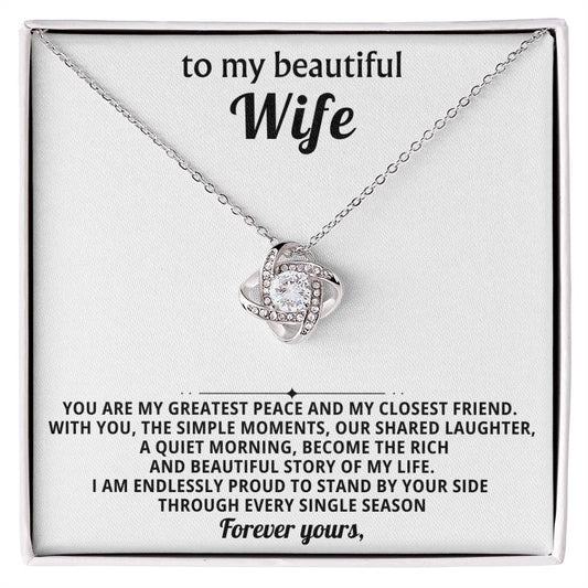 To my beautiful wife, You are my greatest peace and my closest friend