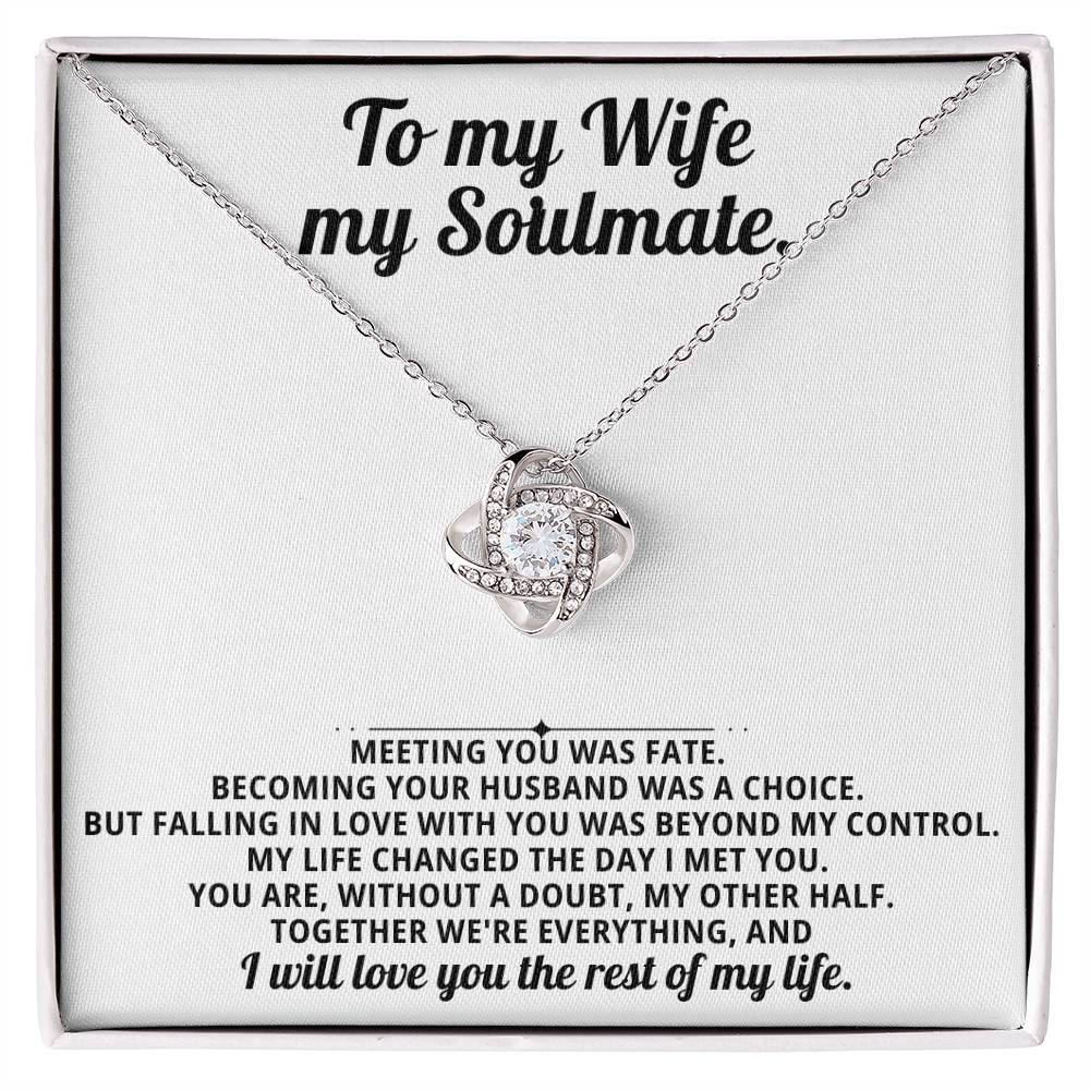 To my beautiful wife, I will love you the rest of my life.