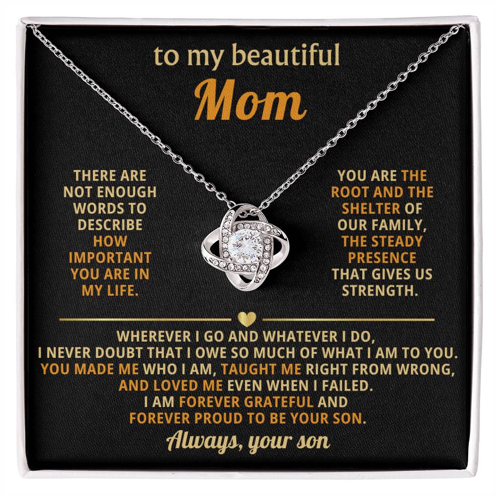 To My Mom,  You are the root and the shelter of our family