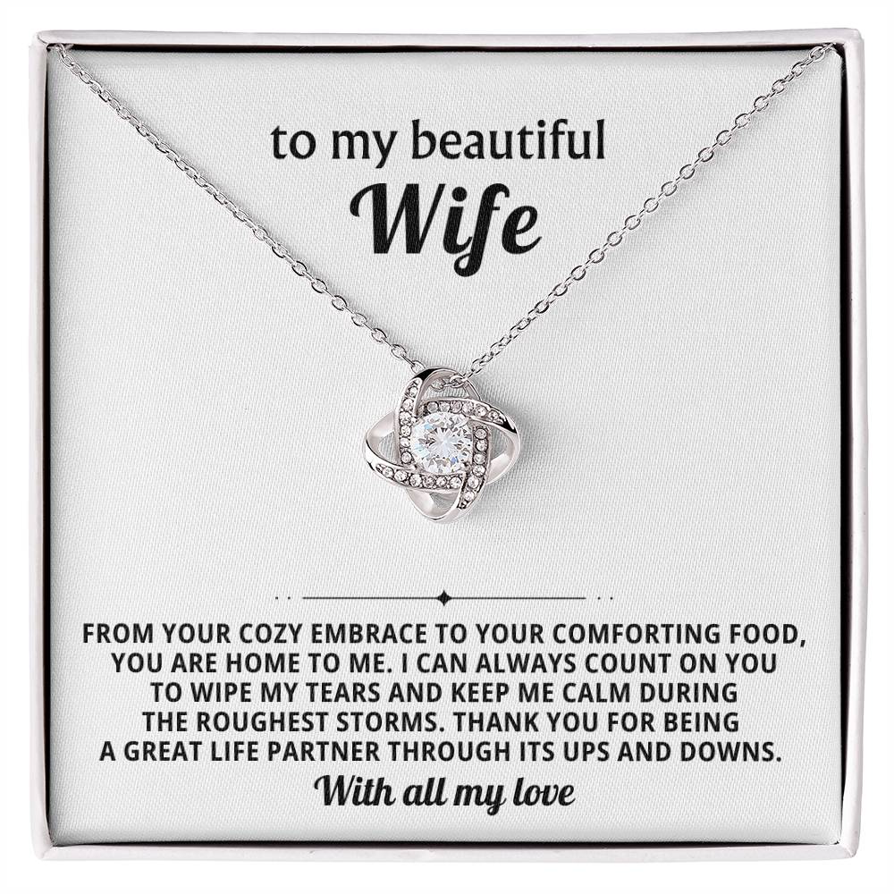 To my beautiful wife, I can always count on you to wipe my tears and keep me calm during the roughest storms