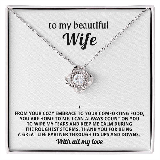 To my beautiful wife, I can always count on you to wipe my tears and keep me calm during the roughest storms