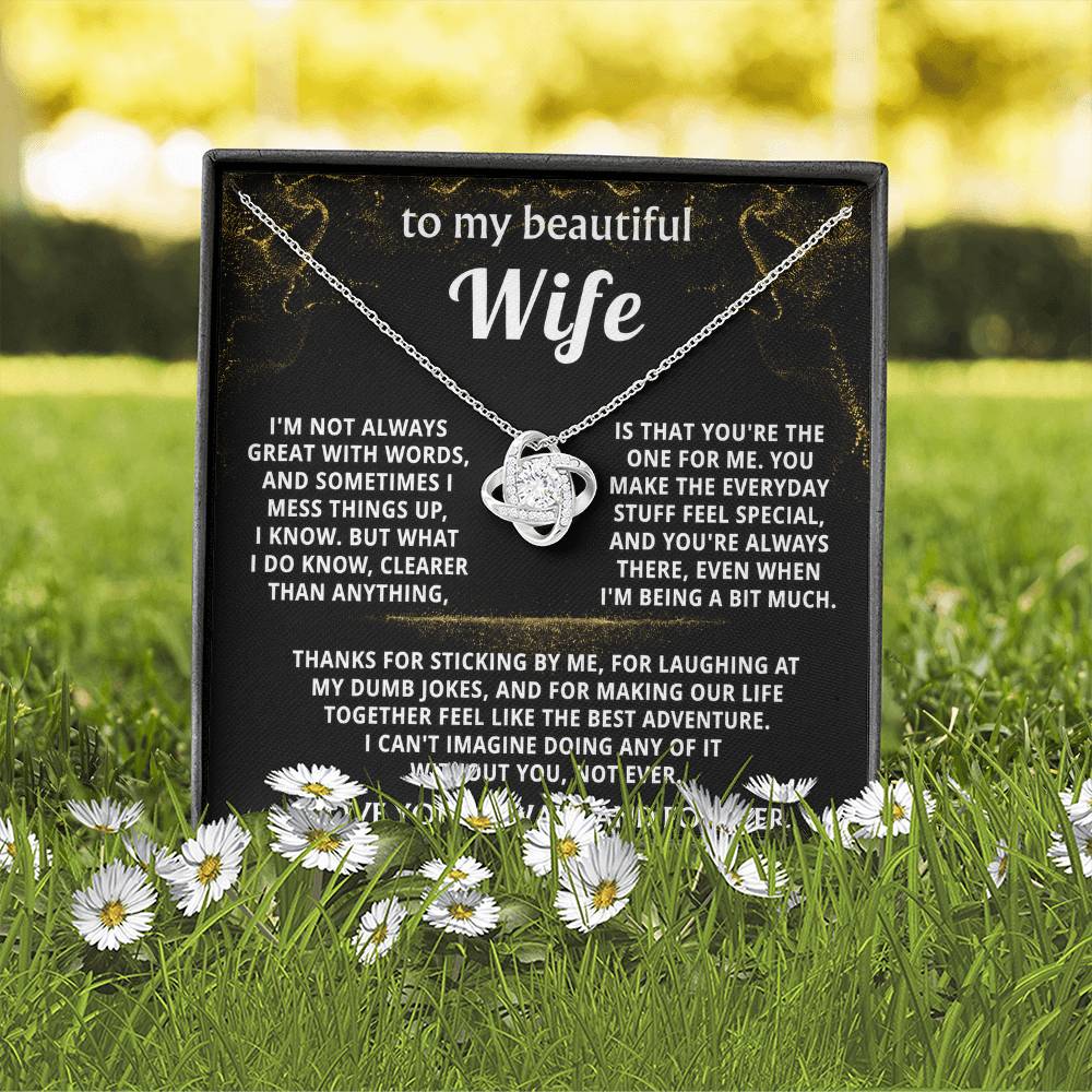 To My Wife, You make everyday feel like an adventure.