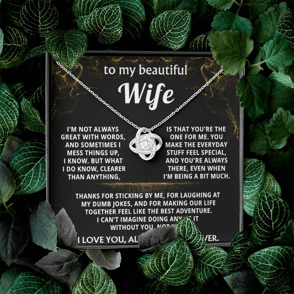 To My Wife, You make everyday feel like an adventure.
