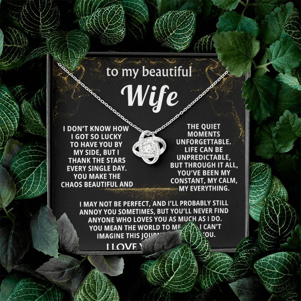 To My Wife, You make my life beautiful.