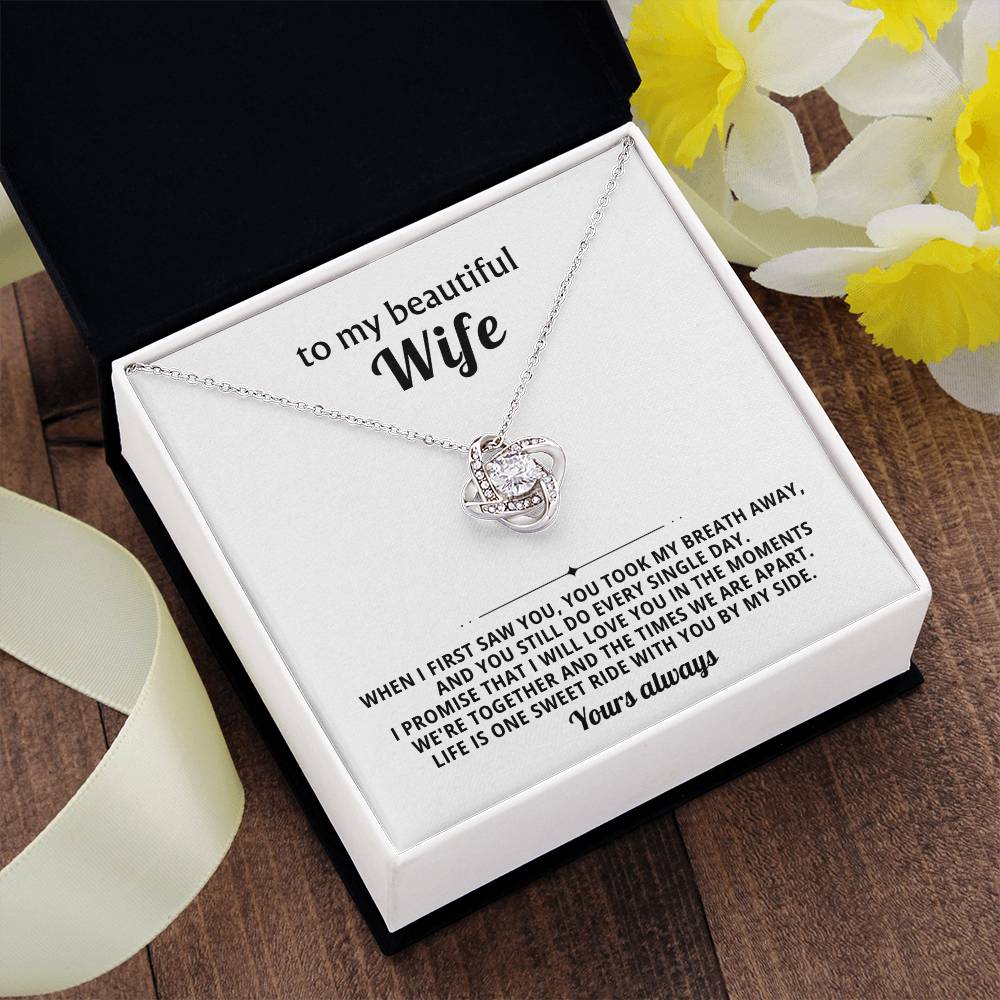 To my beautiful wife, I promise that I will love you in the moments we're together