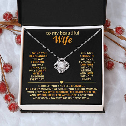 To my beautiful wife, Loving you has changed the way I breathe